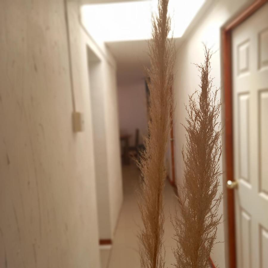 Espacio Del Viajero Departamentos Matrimoniales Y Familiares Apartamento *